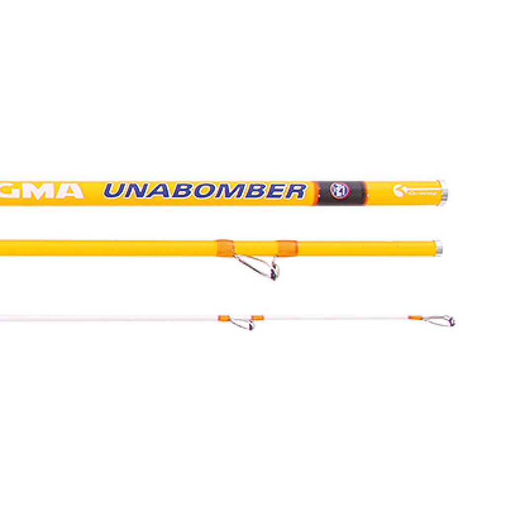cana vercelli enygma unabomber 11