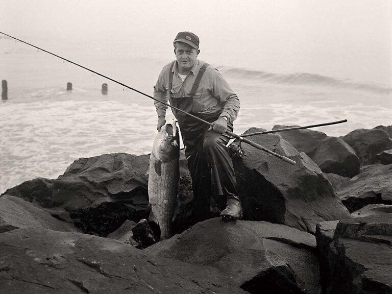 rosko old cover photo striper